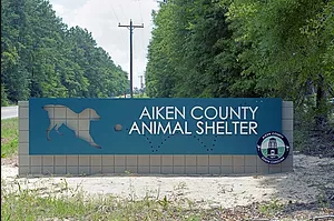 Aiken-County-Animal-Shelter-webp-301×201-