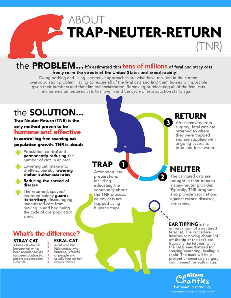 TNR-Infographic